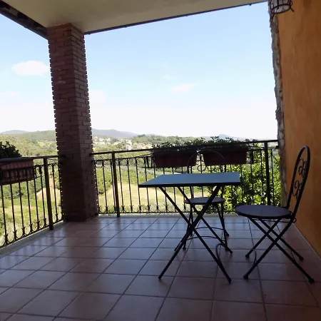Scappo In Umbria, Nelle Vigne * נארני