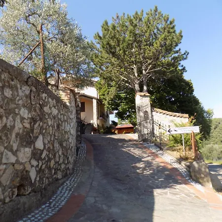 Scappo In Umbria, Nelle Vigne נארני