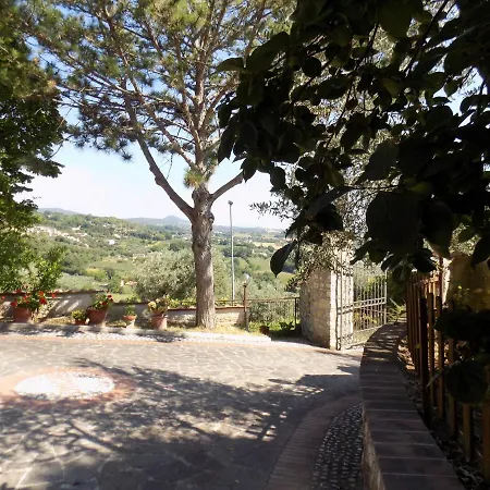 Scappo In Umbria, Nelle Vigne