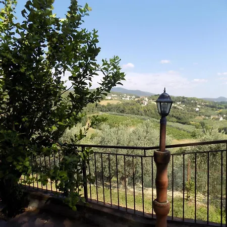 Scappo In Umbria, Nelle Vigne *