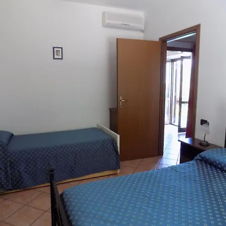 Scappo In Umbria, Nelle Vigne