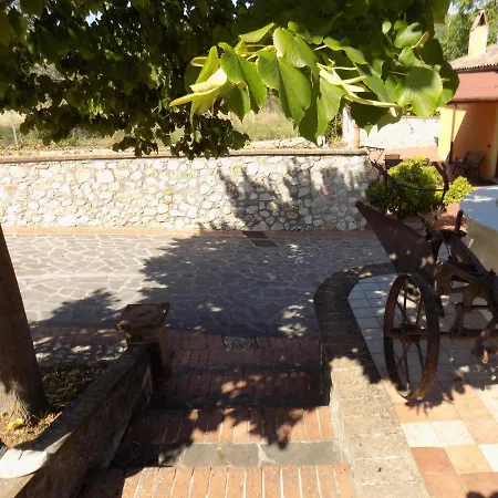 Scappo In Umbria, Nelle Vigne נארני
