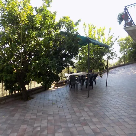 Scappo In Umbria, Nelle Vigne נארני