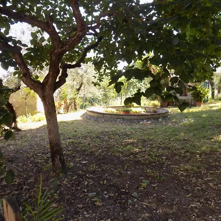 Scappo In Umbria, Nelle Vigne