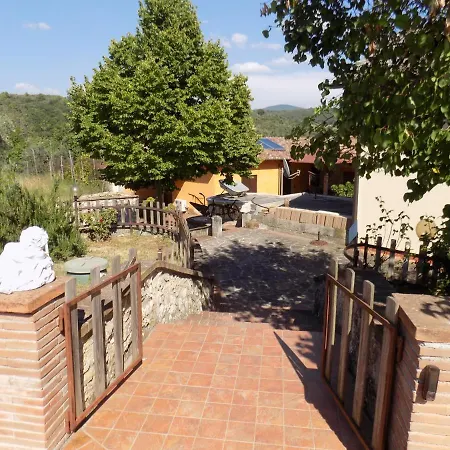 Scappo In Umbria, Nelle Vigne * נארני