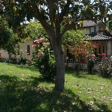 Scappo In Umbria, Nelle Vigne * נארני