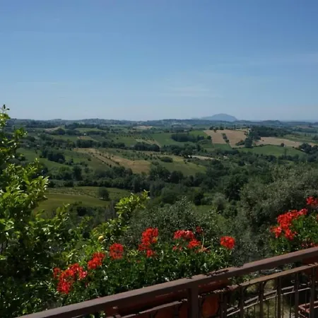 Scappo In Umbria, Nelle Vigne * Narni