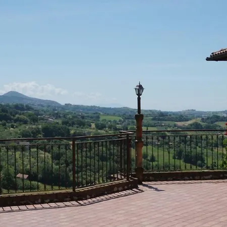Scappo In Umbria, Nelle Vigne *