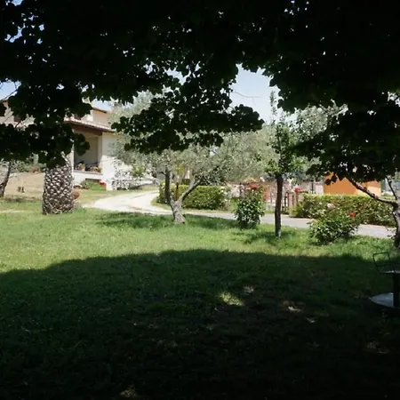Scappo In Umbria, Nelle Vigne * נארני