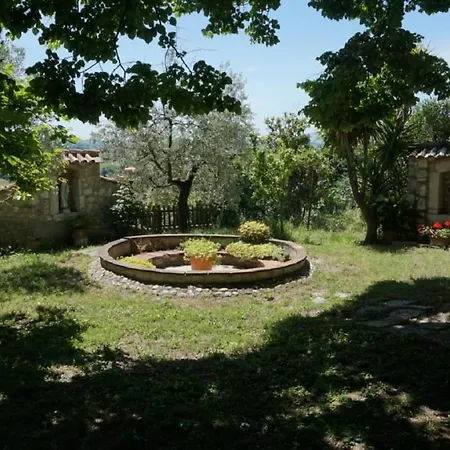 Scappo In Umbria, Nelle Vigne
