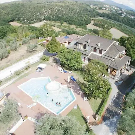 Scappo In Umbria, Nelle Vigne *