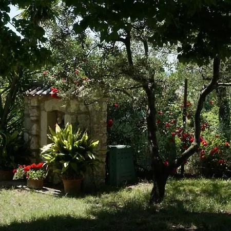 Scappo In Umbria, Nelle Vigne מלון דירות נארני