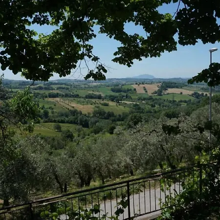 Scappo In Umbria, Nelle Vigne נארני